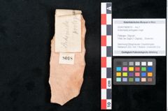 Foto (Objekt + Etikett) von Andromeda protogaea Unger (NHMW-GEO-2024-0188-8018)